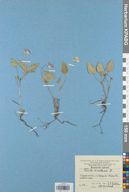 KPABG031719