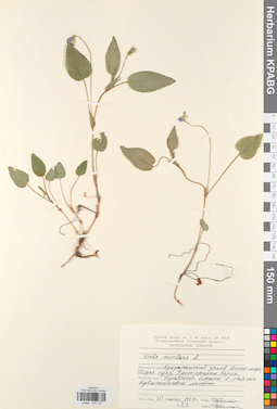 KPABG031721