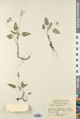 KPABG031736