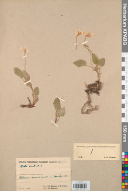 KPABG031745