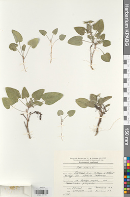 KPABG031756