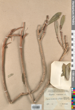 KPABG031957