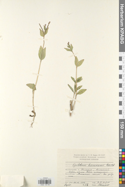 KPABG032196