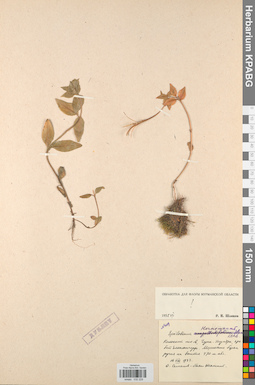 KPABG032229