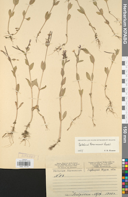 KPABG032242