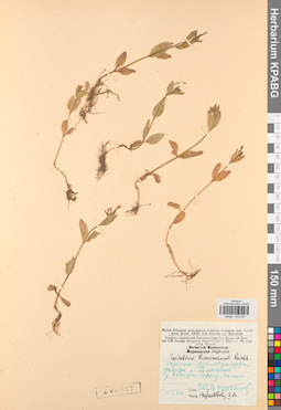 KPABG032247