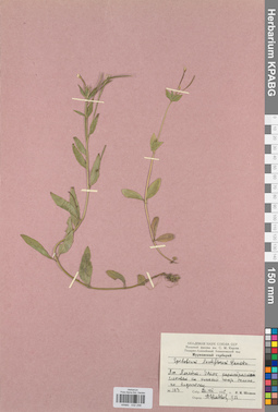 KPABG032258