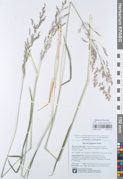 KPABG105176