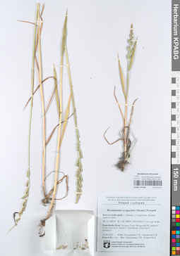 KPABG105186