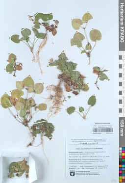 KPABG105087