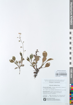 KPABG105093