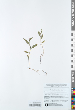 KPABG105097