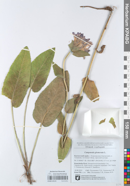 KPABG105123