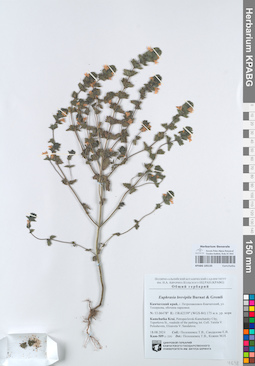 KPABG105135
