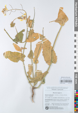 KPABG105140