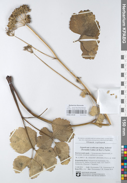 KPABG105148