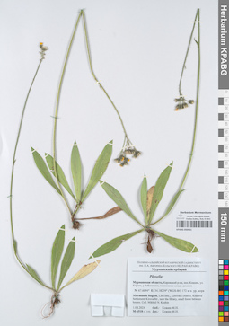 KPABG050461