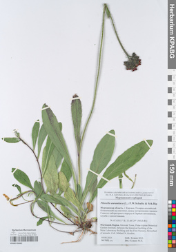 KPABG050462