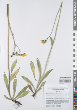KPABG050465