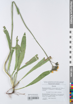 KPABG050468