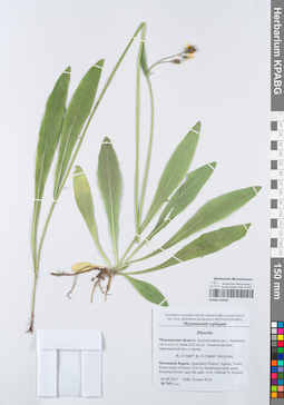 KPABG050469