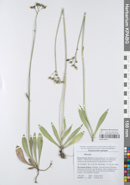 KPABG050474
