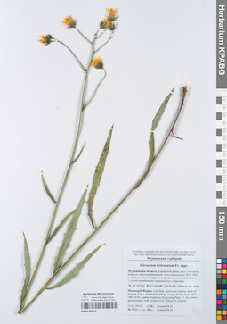 KPABG050475
