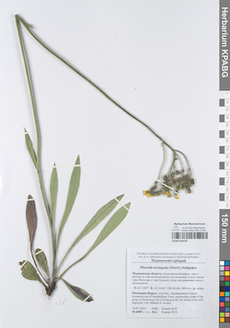 KPABG050478