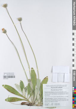 KPABG050483