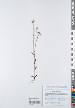 KPABG050620