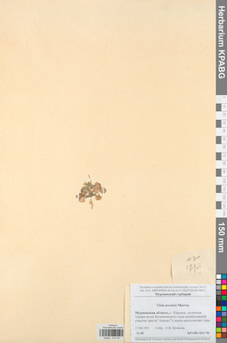 KPABG014781