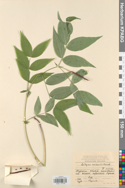 KPABG019366