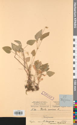 KPABG019403