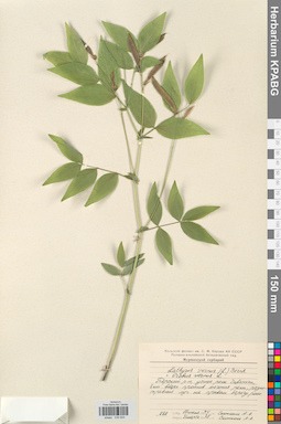 KPABG030834