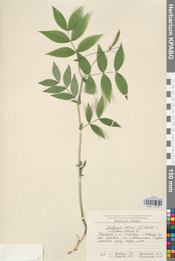 KPABG030839