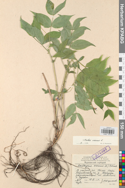 KPABG030844