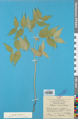 KPABG030845