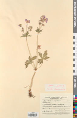 KPABG030859