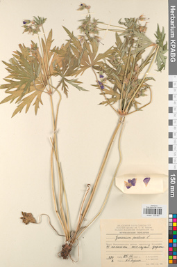 KPABG030867