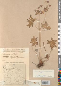 KPABG030875