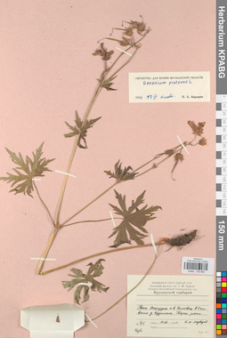 KPABG030880