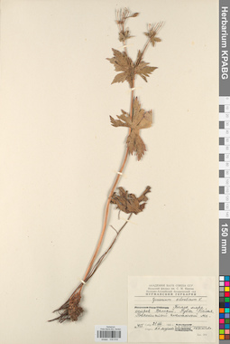 KPABG030916