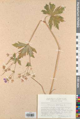 KPABG030923
