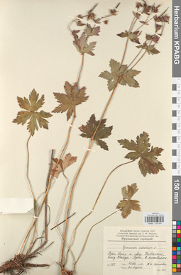 KPABG030934