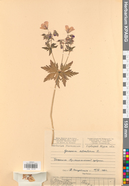 KPABG030947