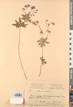 KPABG030957