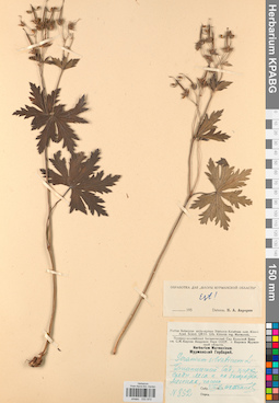 KPABG030970