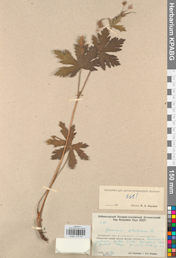 KPABG031047