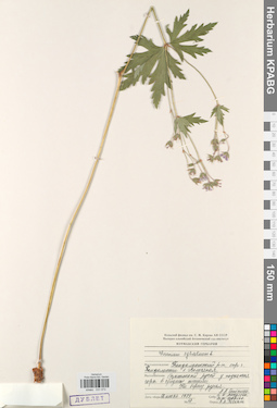 KPABG031073