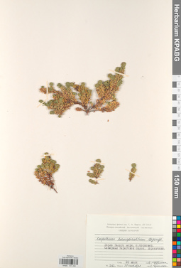 KPABG031258